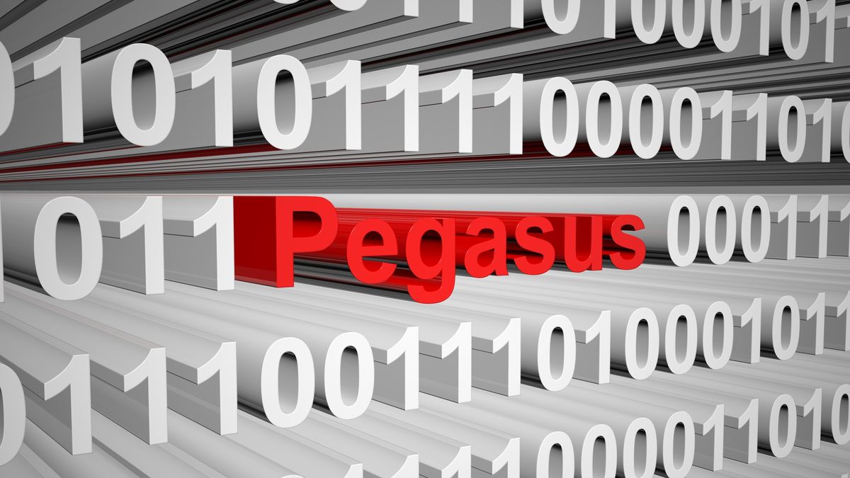 Article-image-Pegasus-05-aout.jpg